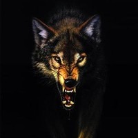 The Wolf