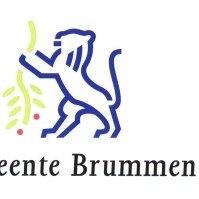 Brummen Werken Naar Vermogen