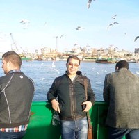 Waleed Nabil