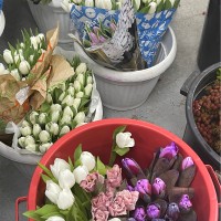 Raghad ‏Alzarea