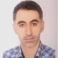 vahid kamyab