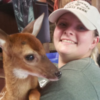 Emilee Phillips