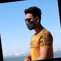 Vivek Giri