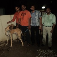 Parthiban Shaymala