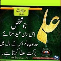M Kashif Ali