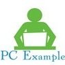 Programing Code Example