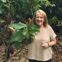 julie davy