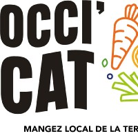 OCCI'CAT PM DISTRIBUTION