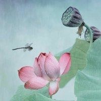 覃伟金