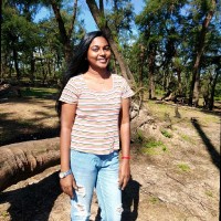 Arya Sundaresan