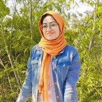 Aatra Aamir
