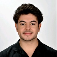 Denis Nazım Hikmet Gerçek