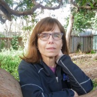 Elaina DaLomba, PhD, OTR/L, MSW