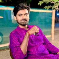 Abilash Roy Anik