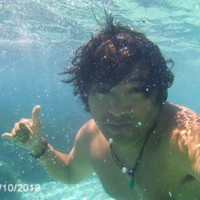 Harry Araujo