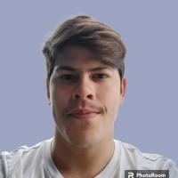 Luiz Fernando Pigini Faro