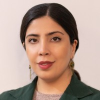 Fereshteh Hosseini