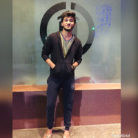 Bhavya Patel