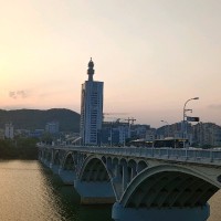 王志莹
