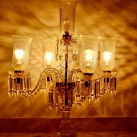 shivani GLO LED
