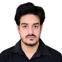 Syed Mohammad Baqir Husain