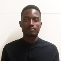 Ngonidzashe Michael Mudadi