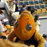 Georgia Tech Savannah Network