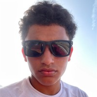 abdalla abdelhamid