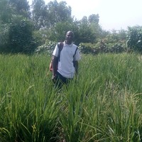 Abdrahamane Diarra