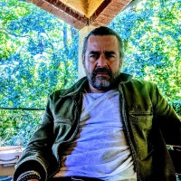 Massimiliano Carlesi