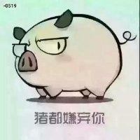 王宗恩
