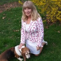 Carol Carp
