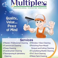 Multiplex cleaning services