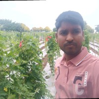Krushna Kharat