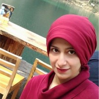 mona sarhan