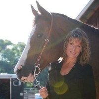 Laurie Brander