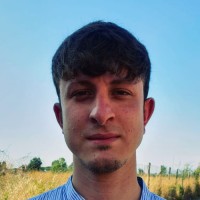 Daniele Negrini