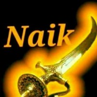Vinayak N
