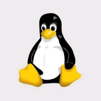 user- root