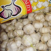 John Chen Fresh Garlic