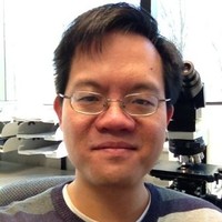 Stan Leung, MD