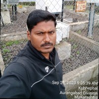 Vishnu Jadhav