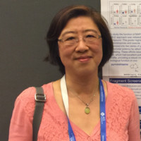 Lan Wang