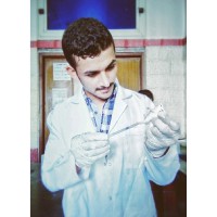 Mohamed Ibrahim
