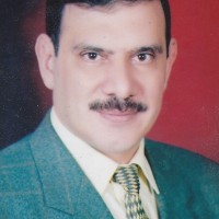 Hesham A.
