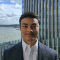 Davin J Palakal