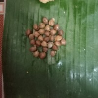 Mani Kandan