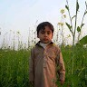 Abdul Raoof
