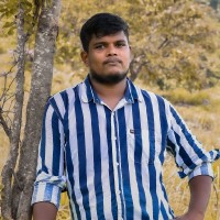 Abinesh U.S.