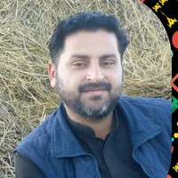 Gull Hassan